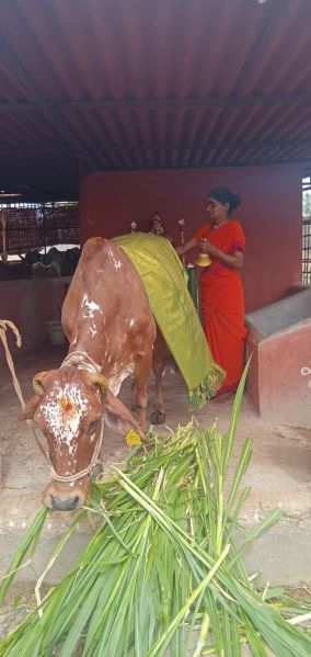 File:WhatsApp Image 2022-06-26 at 9.00.19 PM (1).jpeg