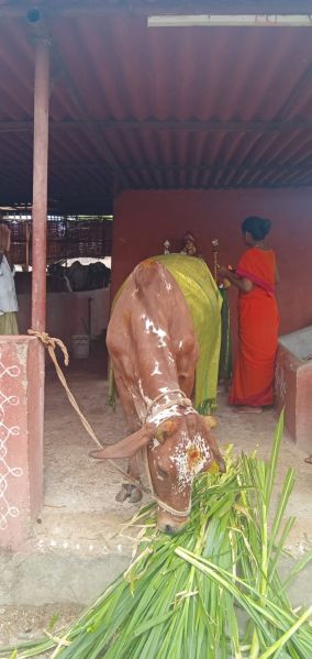 File:WhatsApp Image 2022-06-26 at 9.00.20 PM (1).jpeg