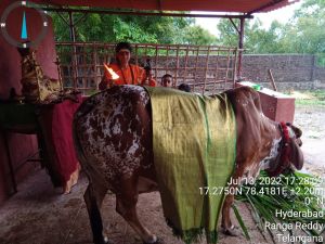 WhatsApp Image 2022-07-14 at 3.39.11 AM (2).jpeg