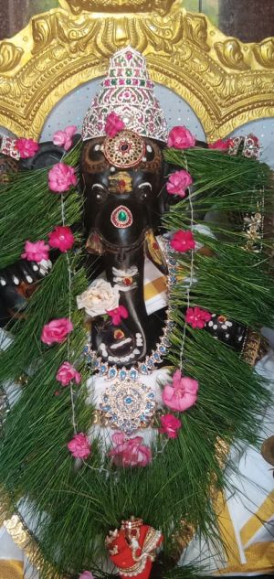 WhatsApp Image 2022-07-21 at 3.04.05 PM (1).jpeg