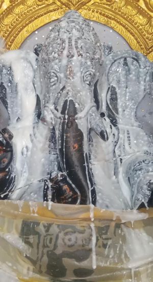 WhatsApp Image 2022-07-21 at 3.21.43 PM.jpeg