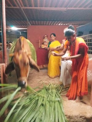 WhatsApp Image 2022-07-21 at 8.18.18 PM.jpeg