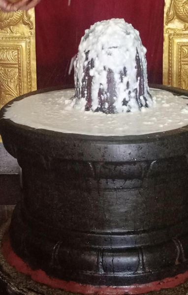 File:WhatsApp Image 2022-07-25 at 4.42.53 PM (1).jpeg