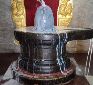 WhatsApp Image 2022-07-25 at 4.42.56 PM.jpeg