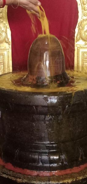 File:WhatsApp Image 2022-07-25 at 4.42.57 PM (2).jpeg