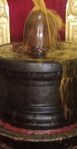 File:WhatsApp Image 2022-07-25 at 4.42.58 PM.jpeg