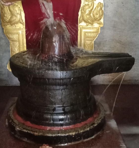 File:WhatsApp Image 2022-07-25 at 4.49.18 PM.jpeg