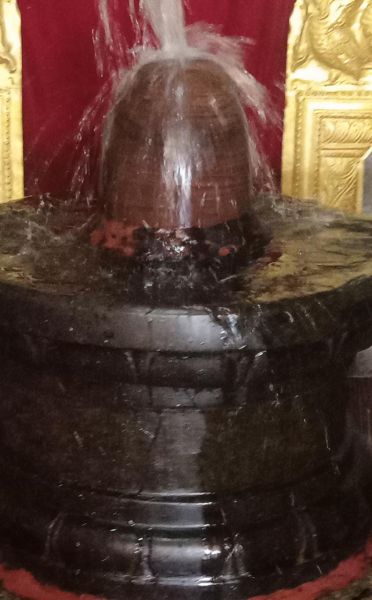 File:WhatsApp Image 2022-07-25 at 4.49.18 PM (1).jpeg