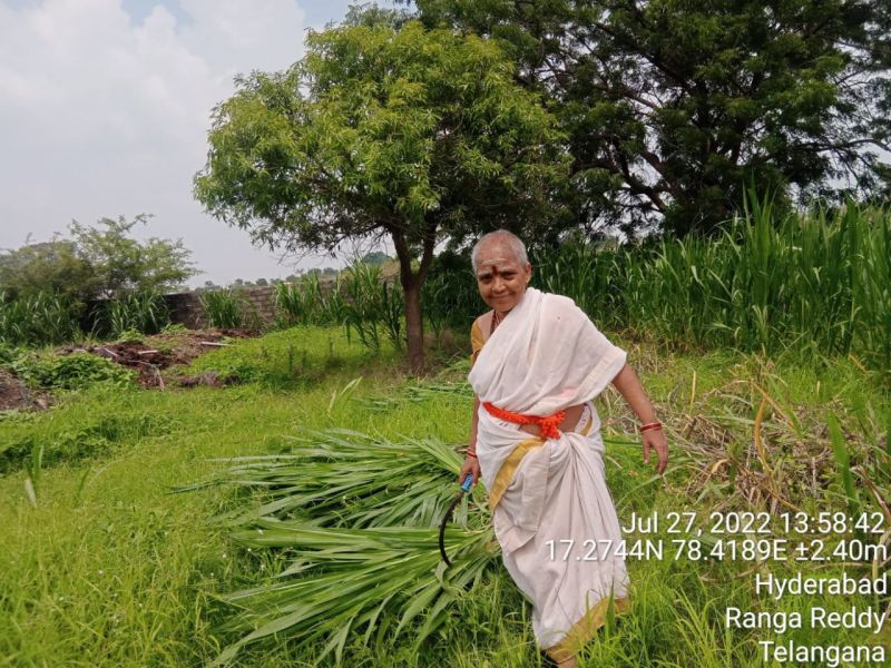 File:WhatsApp Image 2022-07-27 at 3.35.28 PM.jpeg