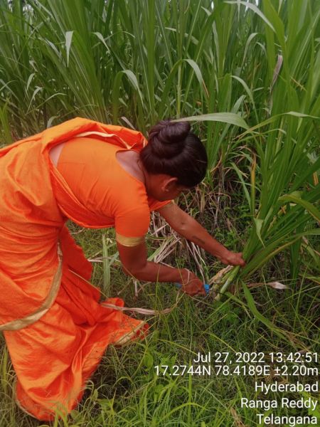 File:WhatsApp Image 2022-07-27 at 3.35.29 PM (1).jpeg