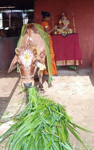 File:WhatsApp Image 2022-07-27 at 4.47.46 PM.jpeg