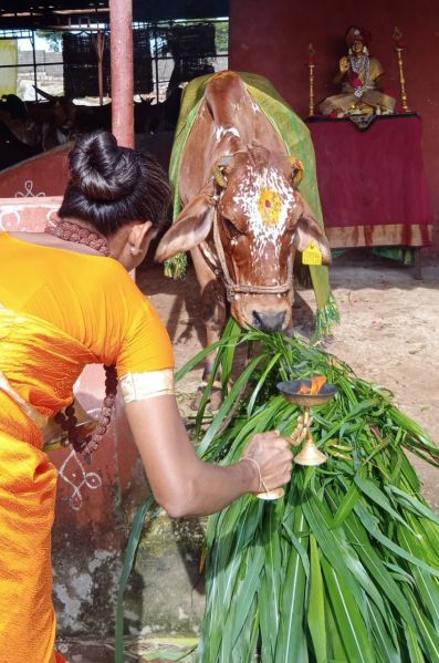 File:WhatsApp Image 2022-07-27 at 4.47.48 PM (1).jpeg