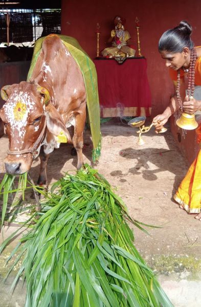 File:WhatsApp Image 2022-07-27 at 4.47.49 PM.jpeg