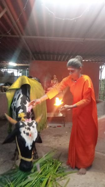 File:WhatsApp Image 2022-11-06 at 19.21.40 (1).jpeg