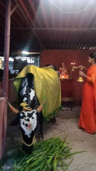 File:WhatsApp Image 2022-11-06 at 19.21.41.jpeg