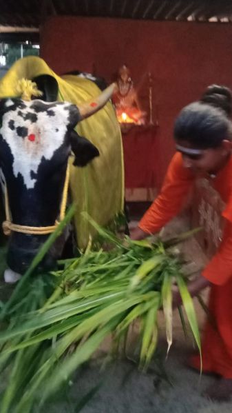 File:WhatsApp Image 2022-11-06 at 19.21.42 (2).jpeg