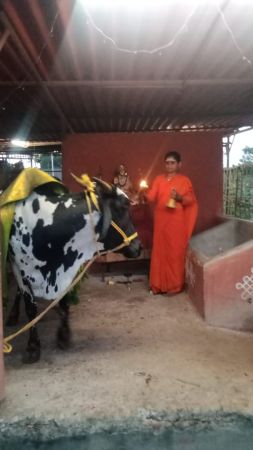 WhatsApp Image 2022-11-06 at 19.21.43.jpeg