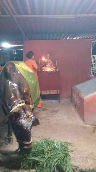 File:WhatsApp Image 2022-11-16 at 19.49.38.jpeg