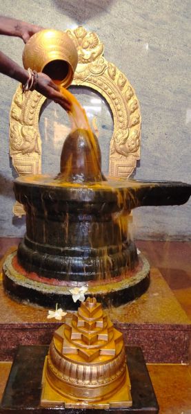 File:WhatsApp Image 2022-11-27 at 19.33.52.jpeg