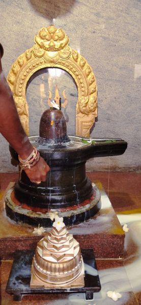 File:WhatsApp Image 2022-11-27 at 19.34.02.jpeg