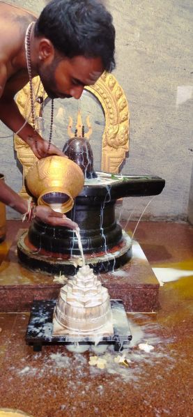 File:WhatsApp Image 2022-11-27 at 19.34.03.jpeg