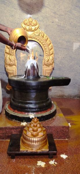 File:WhatsApp Image 2022-11-27 at 19.34.05.jpeg