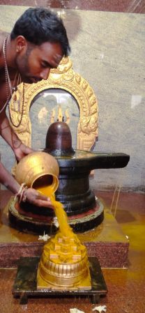 WhatsApp Image 2022-11-27 at 19.34.05 (1).jpeg