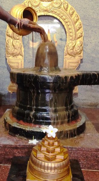 File:WhatsApp Image 2022-11-27 at 19.34.08.jpeg