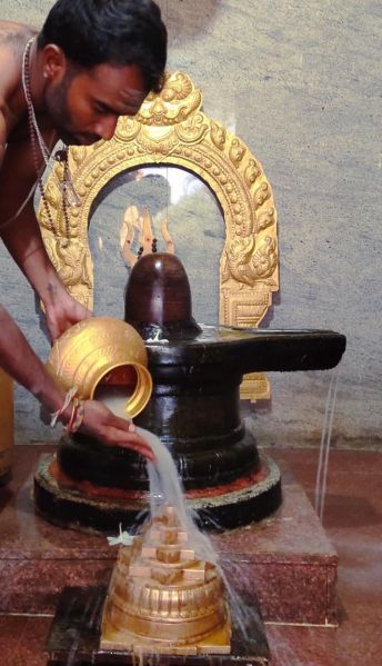 File:WhatsApp Image 2022-11-27 at 19.34.08 (1).jpeg