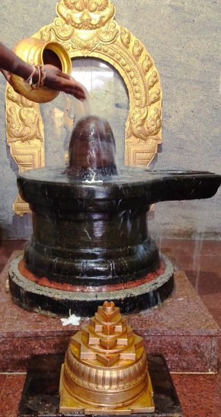 File:WhatsApp Image 2022-11-27 at 19.34.09.jpeg