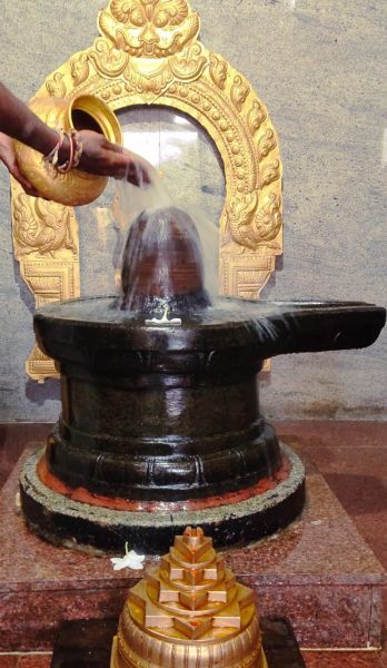 File:WhatsApp Image 2022-11-27 at 19.34.10 (1).jpeg