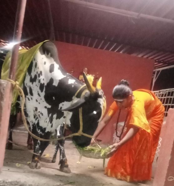 File:WhatsApp Image 2022-11-27 at 20.34.23 (1).jpeg