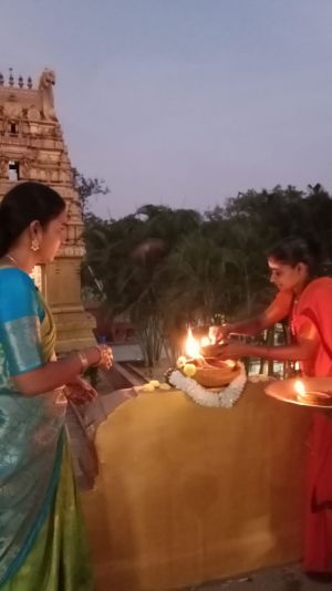 WhatsApp Image 2022-12-06 at 18.02.45.jpeg