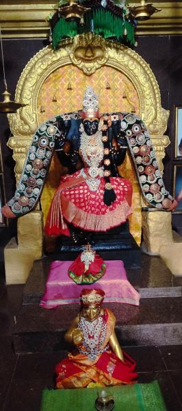 File:WhatsApp Image 2022-12-11 at 15.51.54.jpeg