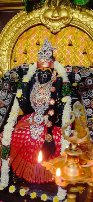 WhatsApp Image 2022-12-11 at 16.31.45 (1).jpeg