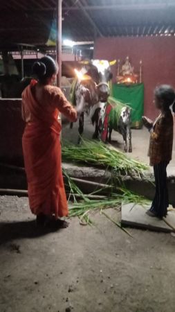 WhatsApp Image 2022-12-23 at 22.37.20.jpeg