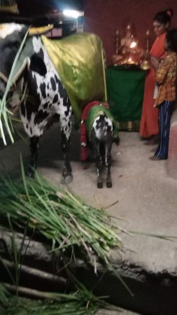 WhatsApp Image 2022-12-23 at 22.37.20 (2).jpeg