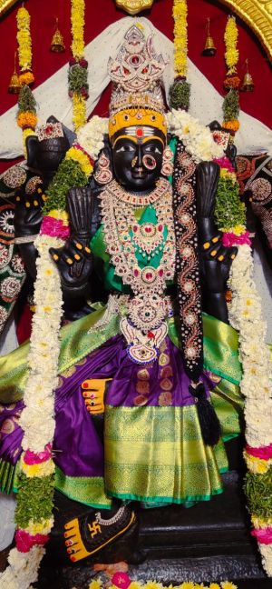 WhatsApp Image 2023-01-03 at 16.36.28 (1).jpeg