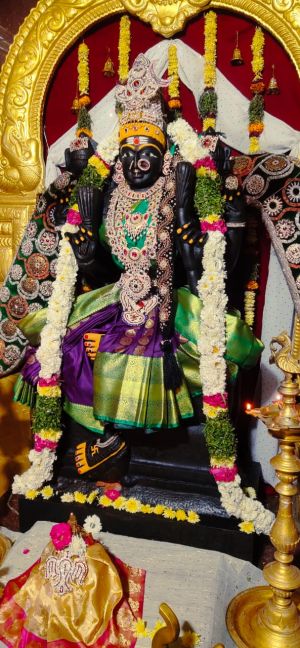 WhatsApp Image 2023-01-03 at 16.36.28 (2).jpeg