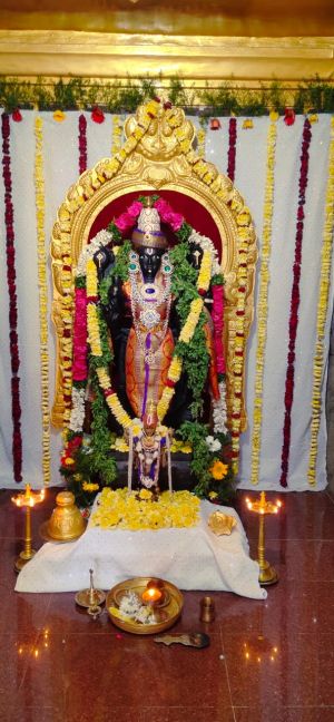 WhatsApp Image 2023-01-03 at 16.36.31 (1).jpeg