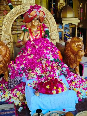 WhatsApp Image 2023-01-03 at 20.43.15.jpeg