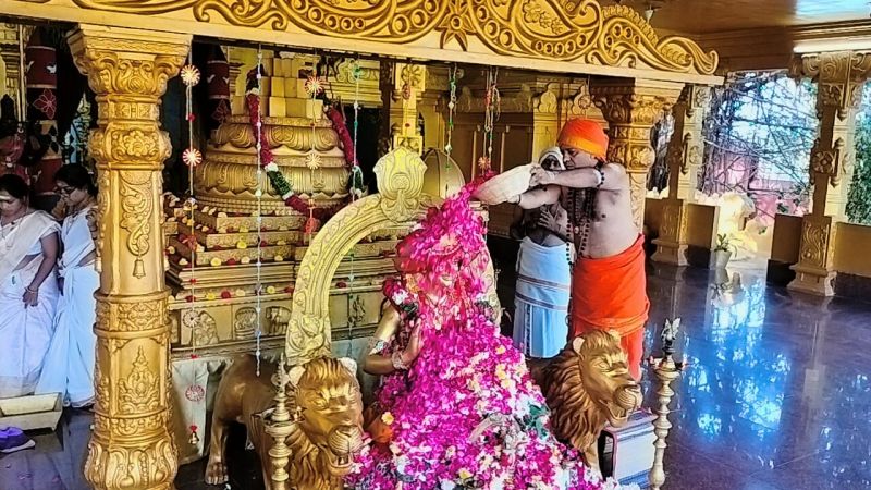 WhatsApp Image 2023-01-03 at 20.44.07.jpeg