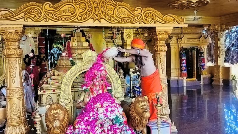 WhatsApp Image 2023-01-03 at 20.44.10.jpeg