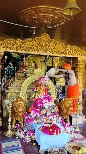 WhatsApp Image 2023-01-03 at 20.48.49.jpeg