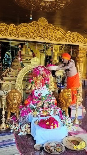 WhatsApp Image 2023-01-03 at 20.48.51.jpeg