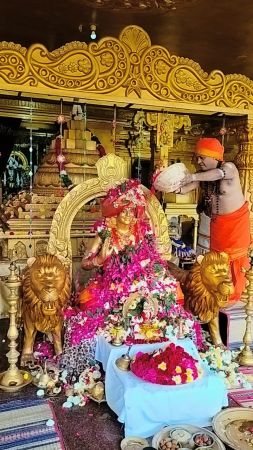 WhatsApp Image 2023-01-03 at 20.48.52.jpeg