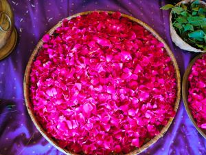 WhatsApp Image 2023-01-03 at 20.51.23 (1).jpeg