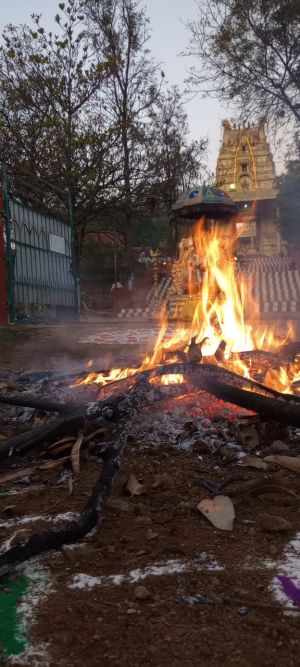 WhatsApp Image 2023-01-14 at 07.12.32.jpeg