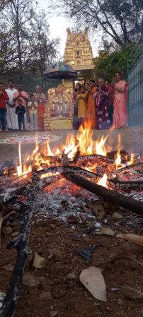 WhatsApp Image 2023-01-14 at 07.12.33.jpeg