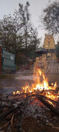 WhatsApp Image 2023-01-14 at 07.12.35.jpeg